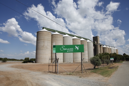 //www.scenario.co.za/files/scenario/2016/articles/february/grainlink.jpg