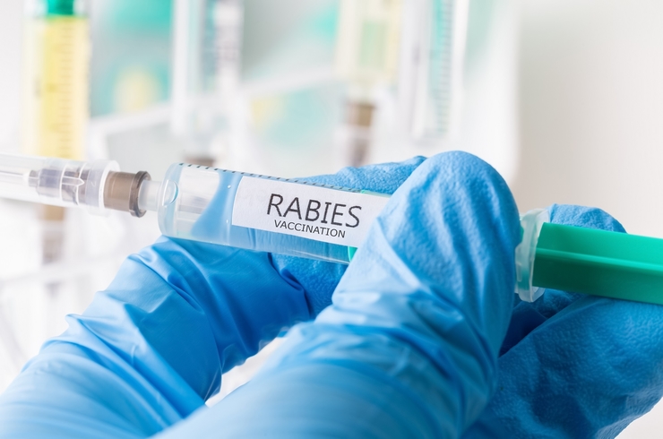 http://www.scenario.co.za/media/Global/images/Scenario/News/2020/10/rabies.jpg