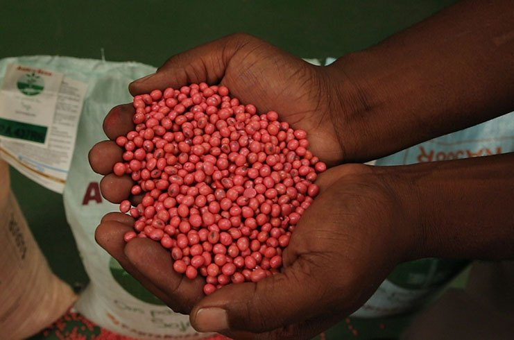 http://www.scenario.co.za/media/global/images/scenario/news/2019/02/soya_beans.jpg